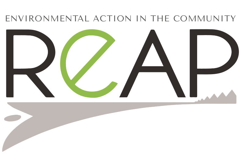 Image illustrating the news post `REAP Scotland`